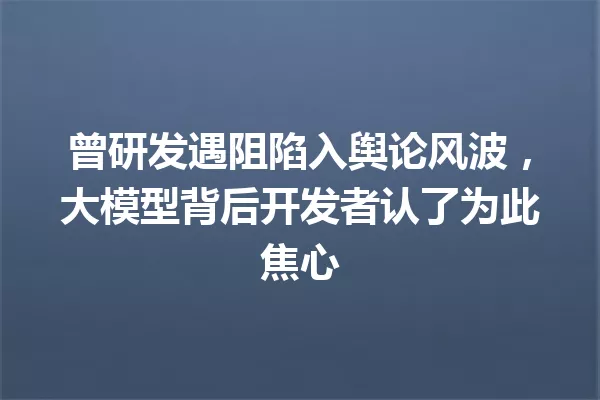 曾研发遇阻陷入舆论风波,大模型背后开发者认了为此焦心