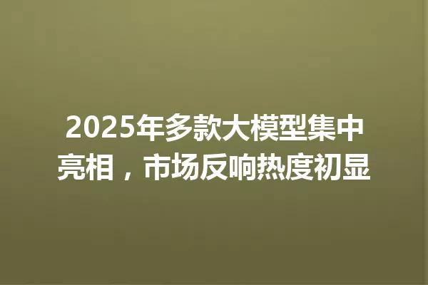 2025年多款大模型集中亮相,市场反响热度初显