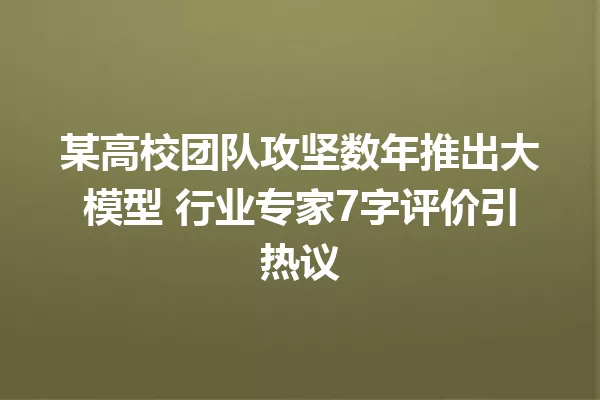 某高校团队攻坚数年推出大模型 行业专家7字评价引热议