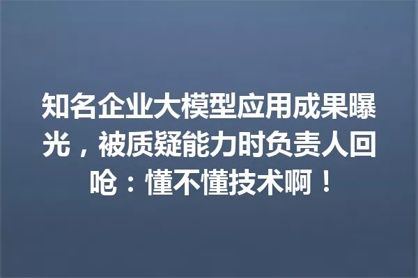 知名企业大模型应用成果曝光,被质疑能力时负责人回呛:懂不懂技术啊!
