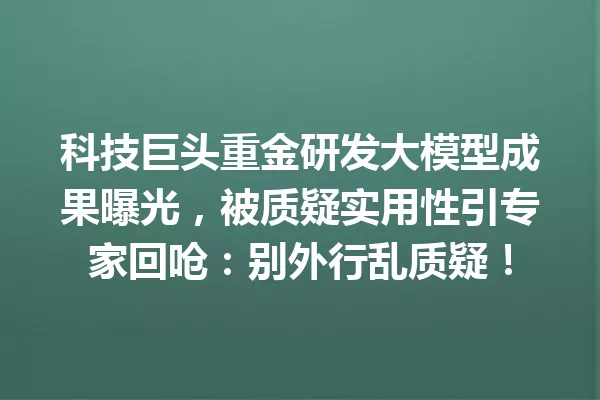 科技巨头重金研发大模型成果曝光,被质疑实用性引专家回呛:别外行乱质疑!