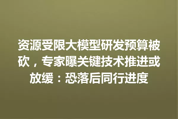 资源受限大模型研发预算被砍,专家曝关键技术推进或放缓:恐落后同行进度