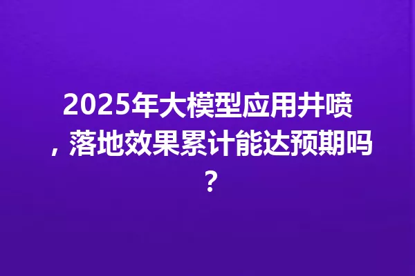 2025年大模型应用井喷,落地效果累计能达预期吗?