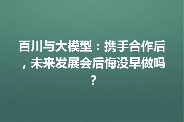 百川与大模型:携手合作后,未来发展会后悔没早做吗?