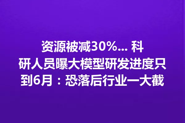 资源被减30%... 科研人员曝大模型研发进度只到6月:恐落后行业一大截