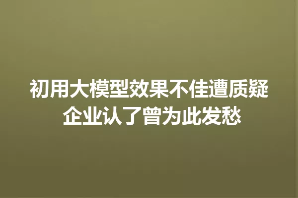 初用大模型效果不佳遭质疑 企业认了曾为此发愁