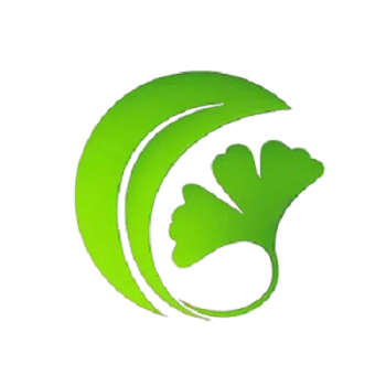 白果Ai论文