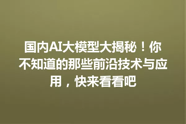 国内AI大模型大揭秘!你不知道的那些前沿技术与应用,快来看看吧