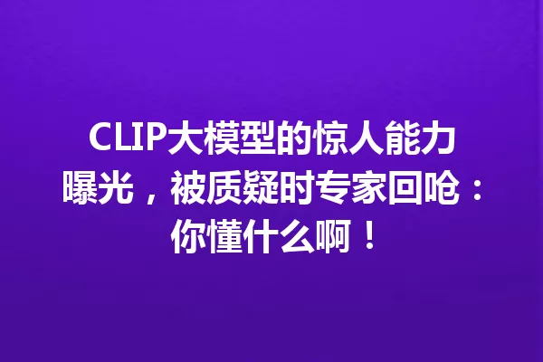 CLIP大模型的惊人能力曝光,被质疑时专家回呛:你懂什么啊!