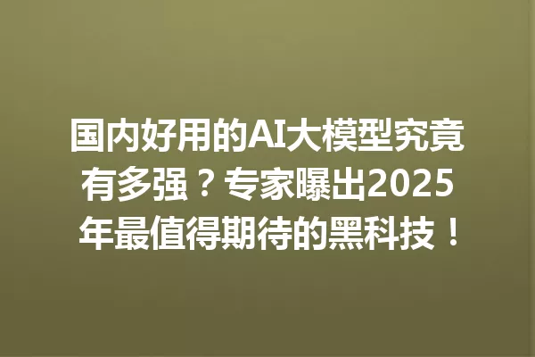 国内好用的AI大模型究竟有多强?专家曝出2025年最值得期待的黑科技!