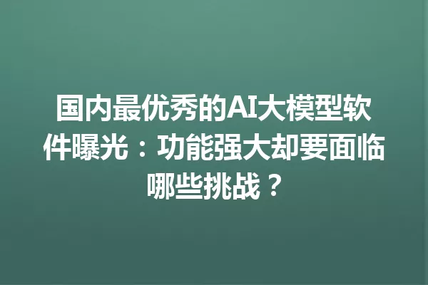 国内最优秀的AI大模型软件曝光:功能强大却要面临哪些挑战?