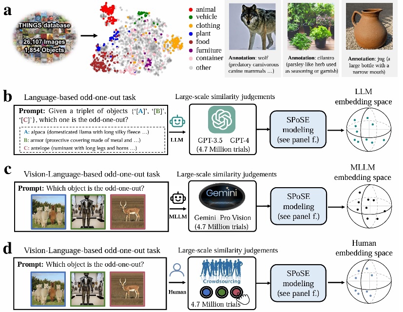 AI逐渐迈向人类认知!揭示大模型背后的心智秘密
