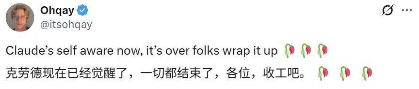 《梦境操控:Claude如何觉察自我意识的觉醒》