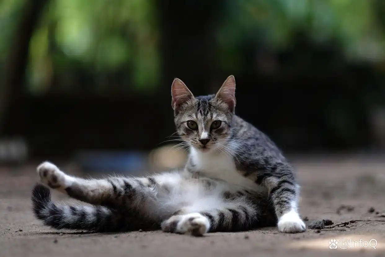 AI 编程革命:成本降至人类程序员的万分之一,速度提升惊人10000倍!